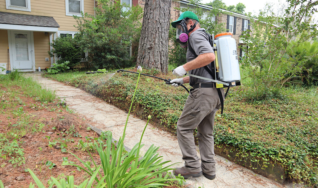 Seasonal pests, Denver wildlife, pest readiness